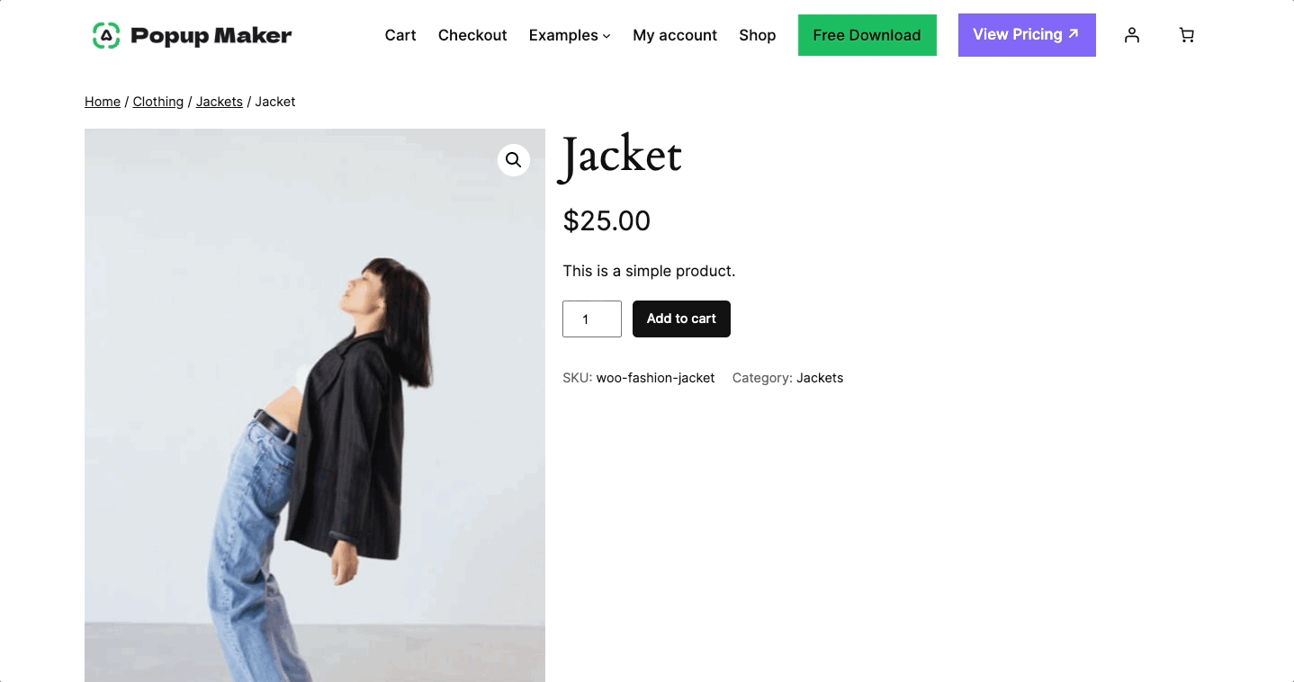 How To Create A Woocommerce Cart Abandonment Popup 13 Pm Cart Abandonment Demo Blurred